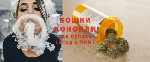 СК Елизово