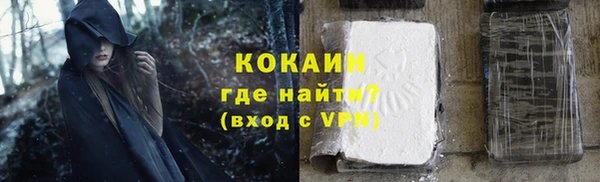 гашик Ельня
