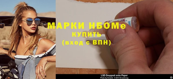 гашик Ельня