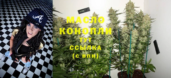 гашик Ельня
