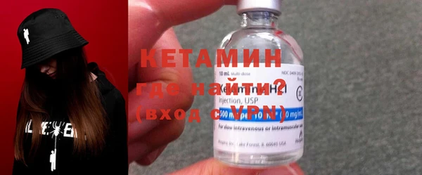 гашик Ельня