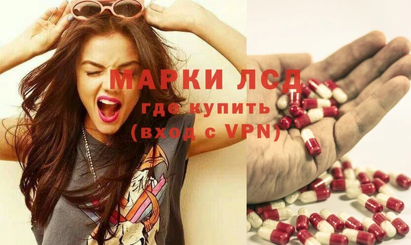 СК Елизово