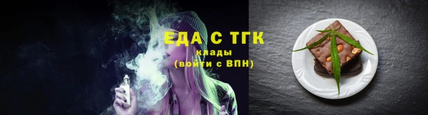 гашик Ельня