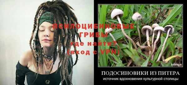 гашик Елабуга