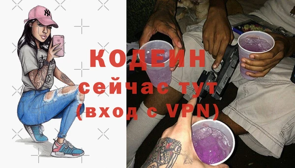 СК Елизово