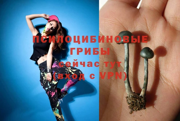 гашик Ельня