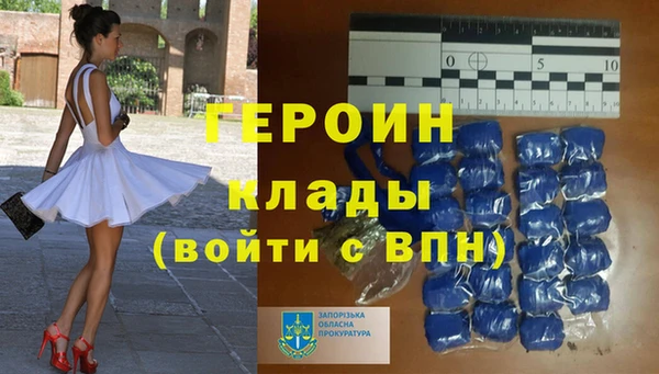 СК Елизово