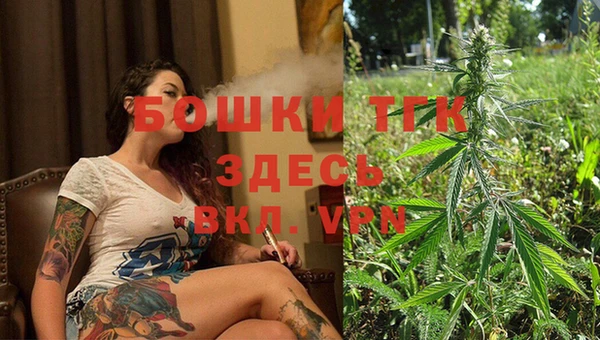 гашик Ельня
