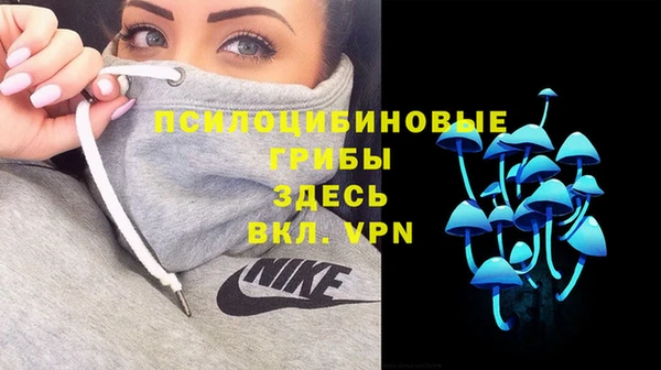 гашик Елабуга