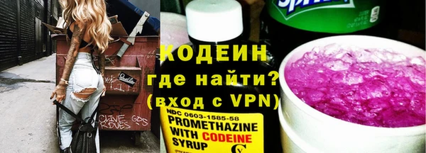 гашик Ельня