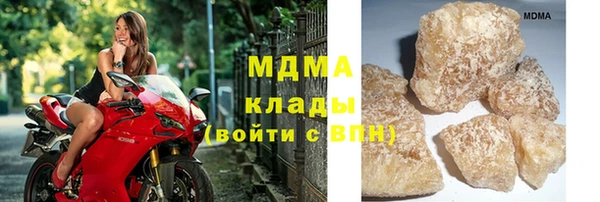 гашик Ельня