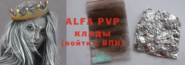 гашик Ельня