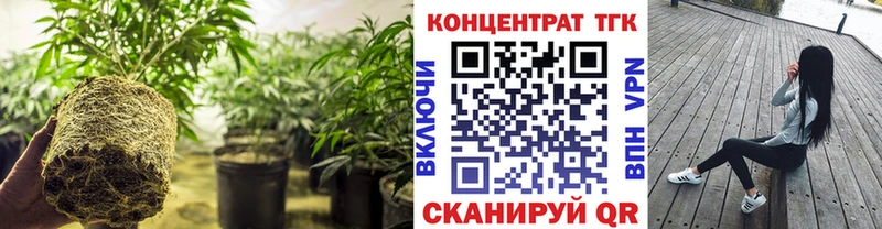 Дистиллят ТГК Wax  закладка  Чегем 