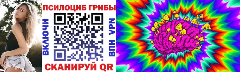 Галлюциногенные грибы Psilocybe  Чегем 