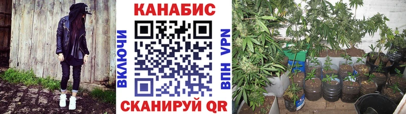 МАРИХУАНА планчик  ОМГ ОМГ ссылка  Чегем 